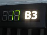 DSC00981.jpg